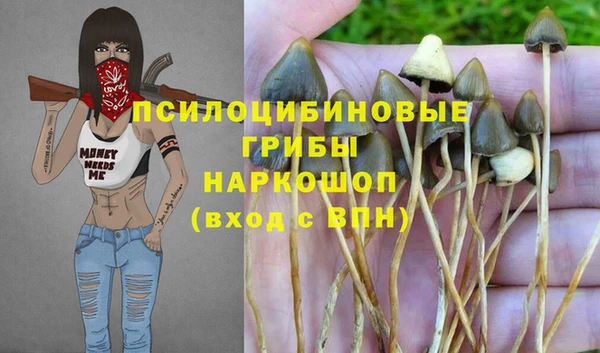 мескалин Надым